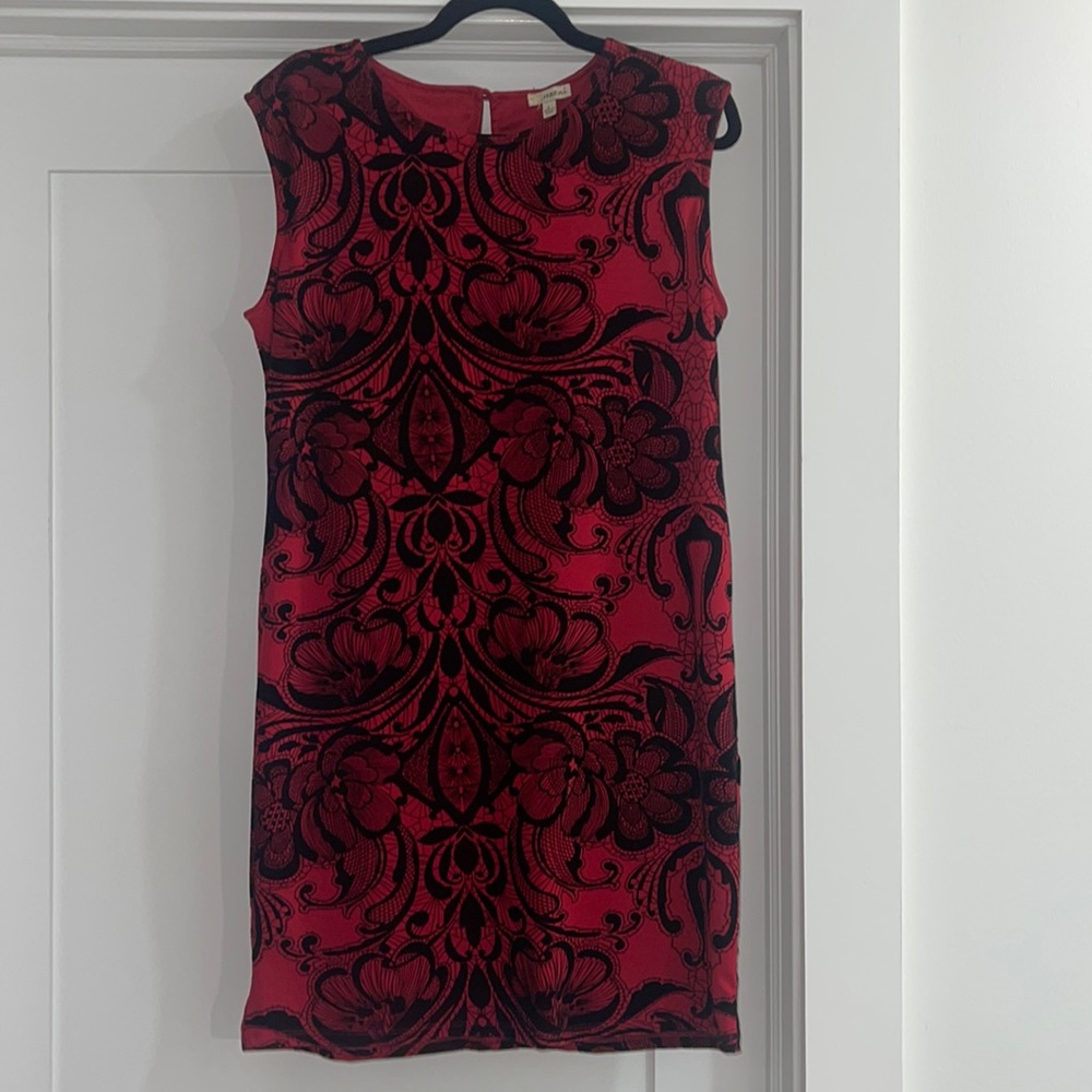 EUC Haani Dress